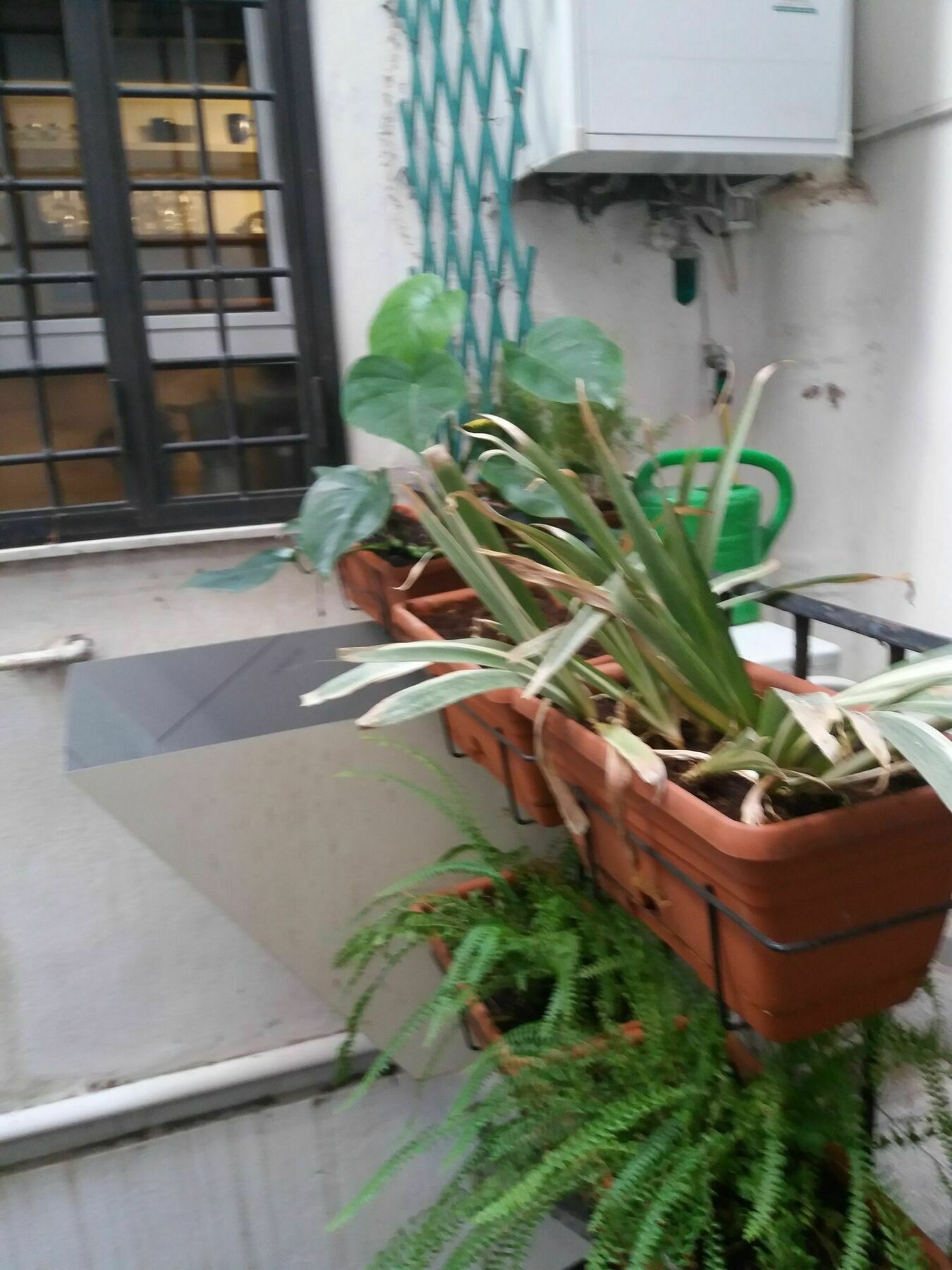 Apartamento Campofiori Roma Exterior foto